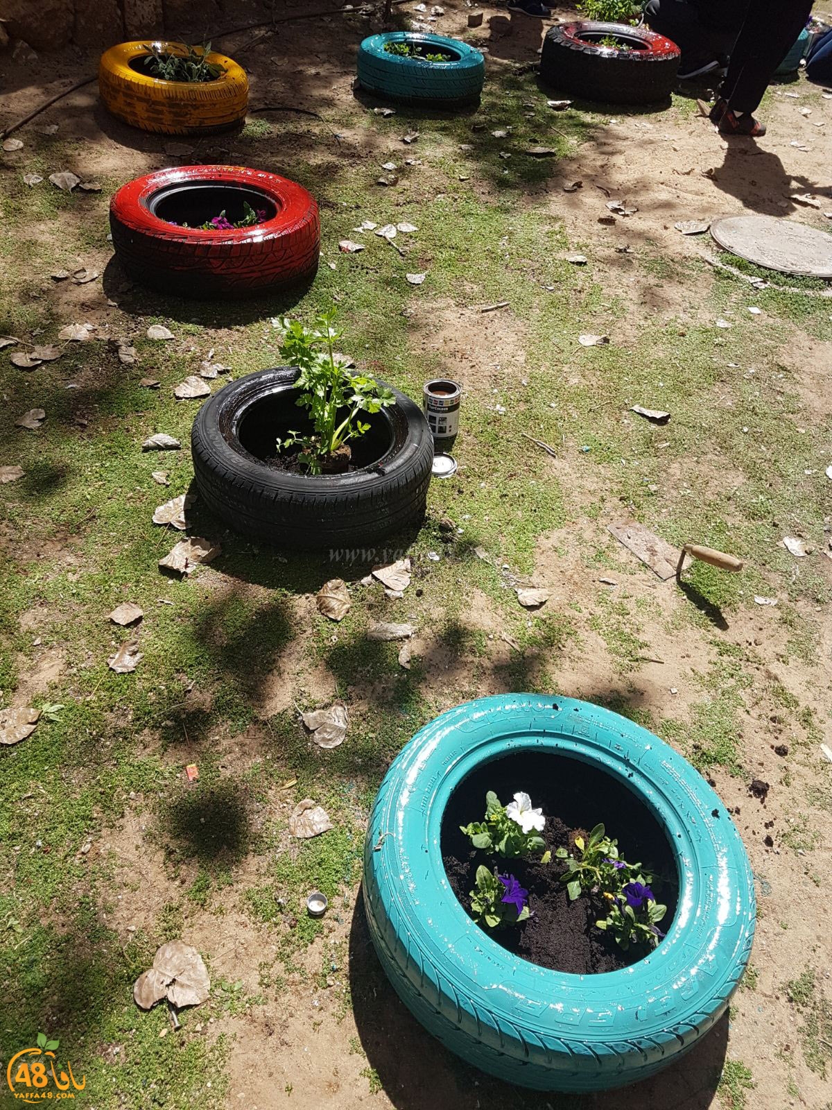 a3malkhayeret (14).jpg